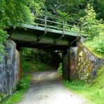 Wanderung Urwaldsteig Bayerisch Eisenstein _ Unterführung Waldbahn in den Wald