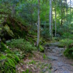 Rundweg Steinforelle durch die Steinklamm Spiegelau.