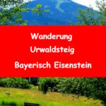 Bayerisch Eisenstein Wanderung Waldmaus und Urwaldsteig